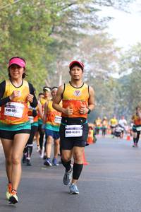 BIB: 402, 45379
                            <button type="button" onclick="openModal(10356742)" class="btn btn-primary btn-sm float-right btn-popup" data-toggle="modal" data-target=".modal-high-quality">
                        <i class="fas fa-shopping-cart"></i> Add to Cart
                    </button>
                                            <button type="button" onclick="isThisMe(10356742, true)" class="btn btn-success btn-sm float-right btn-popup btn-isme hidden" data-toggle="tooltip" data-placement="bottom" title="นี่คือรูปของคุณใช่ไหม คลิกที่นี่เพื่อเอาเข้าอัลบั้ม">
                        <i class="fas fa-plus"></i> Add to album
                    </button>
                    <button type="button" onclick="isThisMe(10356742, false)" class="btn btn-warning btn-sm float-right btn-popup btn-isnotme hidden">
                        <i class="fas fa-ban"></i> Remove from album
                    </button>